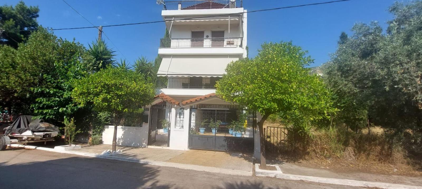 Queen Aspri Apartment 3' Min To The Beach! Αντίκυρα Εξωτερικό φωτογραφία